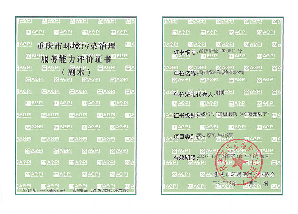 重庆市环境污染治理能力服务评价证书