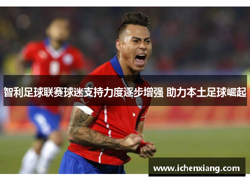 智利足球联赛球迷支持力度逐步增强 助力本土足球崛起